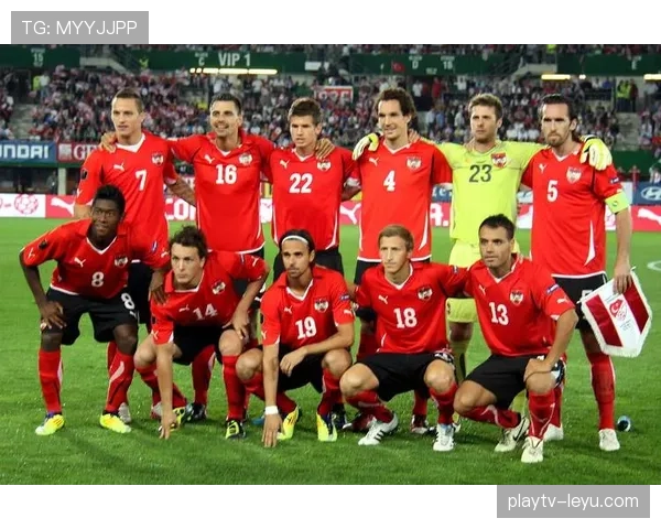 奥地利在欧预赛中表现稳健,晋级希望持续增强 奥地利在欧预赛中表现稳健,晋级希望持续增强