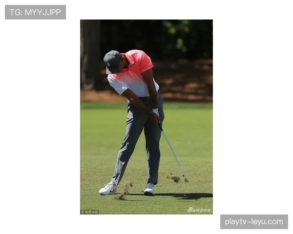 帕尔默赛后最新动态：表现如何？